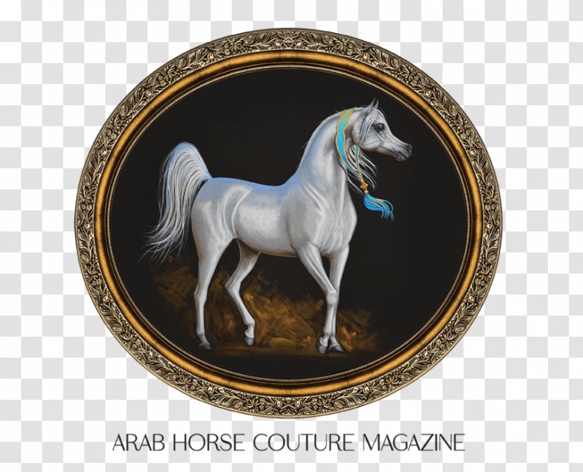 Arabian Horse Dubai International Fair Thoroughbred Equestrian Stallion - Purebred - Exhibition Model Transparent PNG