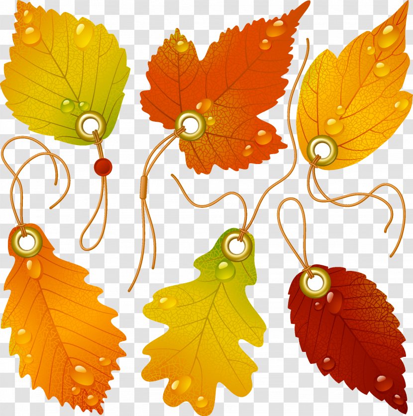 Japanese Maple Autumn Leaf Color - Logo Leaves Transparent PNG