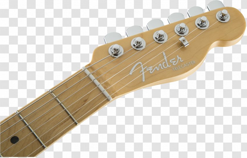 Fender Stratocaster Telecaster Musical Instruments Corporation Guitar Fingerboard - Cartoon - Bass Transparent PNG