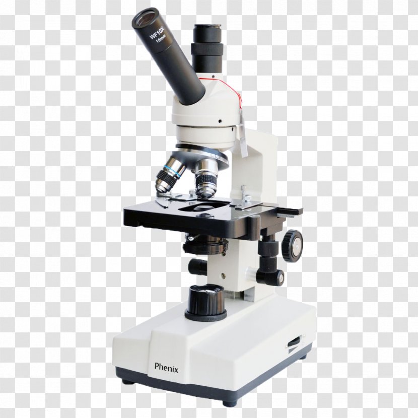 Microscope Clip Art - Optical Instrument - Latest Transparent PNG