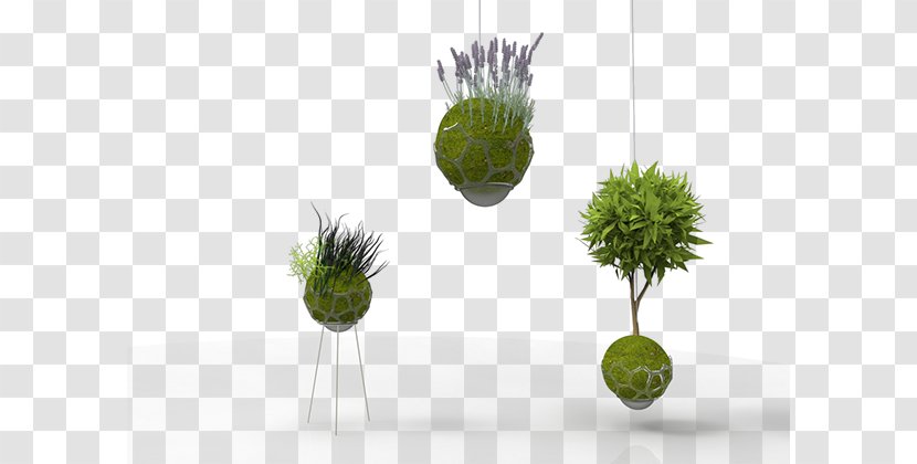 Product Design Kokedama Behance Flowerpot Self-sustainability - Starter FOOD Transparent PNG