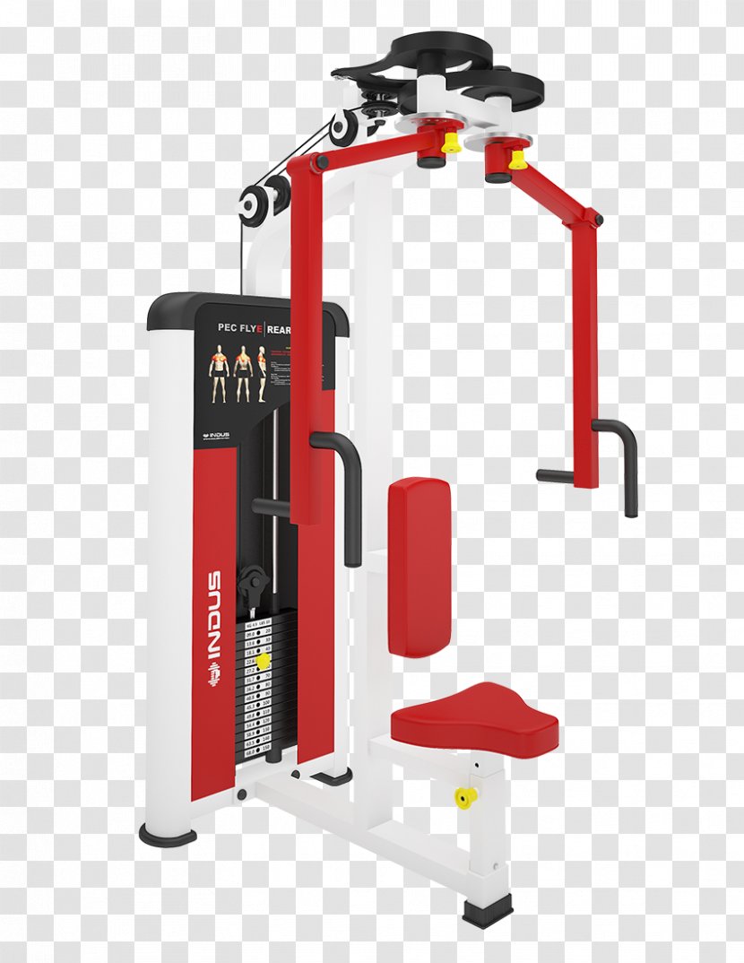 Fitness Centre Exercise Equipment Indus Gym Weight Training Fly - Flyer Transparent PNG