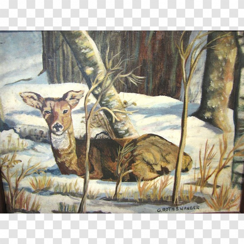 Elk Deer In The Woods Red White-tailed - Oil Painting Transparent PNG