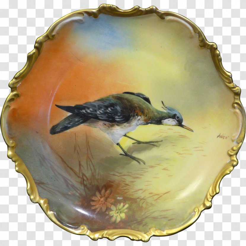 Beak - Bird - Exquisite Hand-painted Painting Transparent PNG