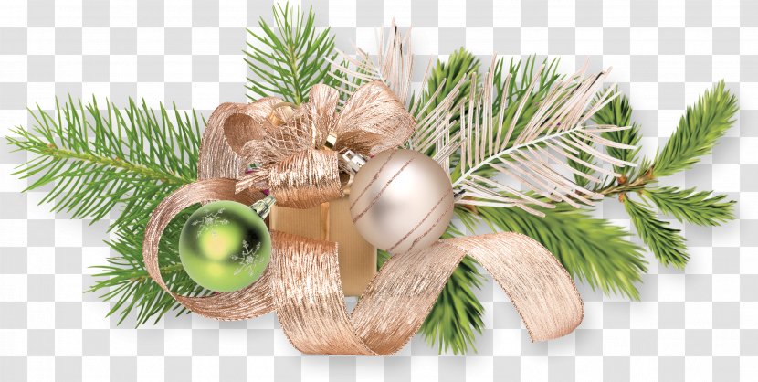 Christmas Ornament Day New Year Image - Season Transparent PNG