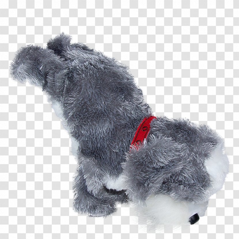 Miniature Schnauzer Shih Tzu Puppy Schnoodle Pumi Dog Transparent PNG
