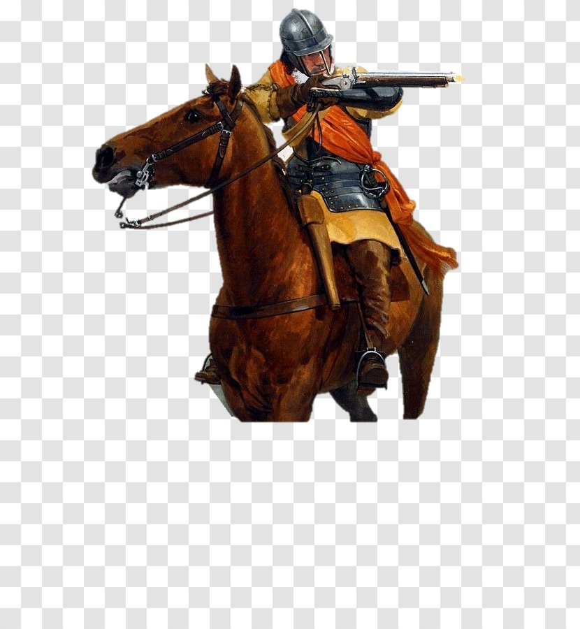 First English Civil War Battle Of Edgehill American Cavalry - Horse - 9th Regiment Transparent PNG