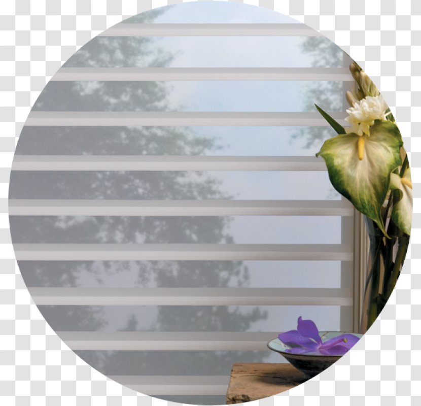 Window Blinds & Shades Treatment Hunter Douglas Covering - Door Furniture Transparent PNG