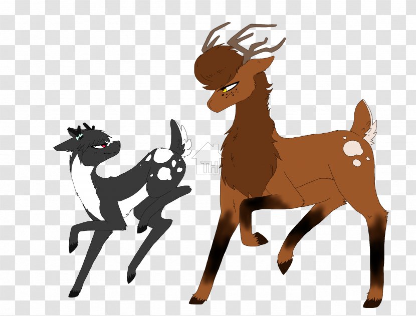 Horse Reindeer Cattle Goat Mammal - Vertebrate Transparent PNG