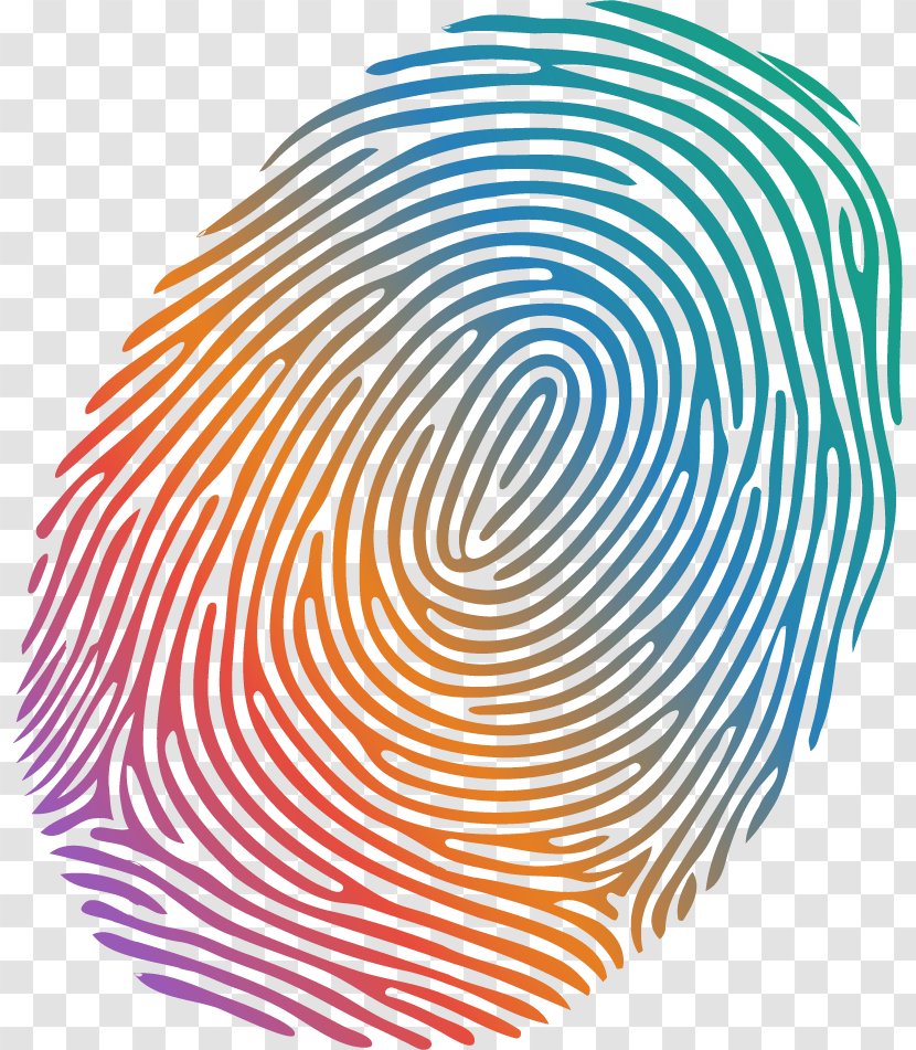 Vector Graphics Illustration Fingerprint Stock Photography - Symmetry - Fingerabdruck Transparent PNG