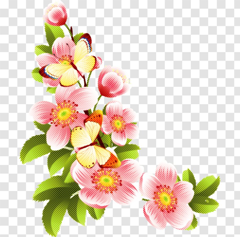 Flower Flowering Plant Petal Pink - Spring - Prickly Rose Transparent PNG