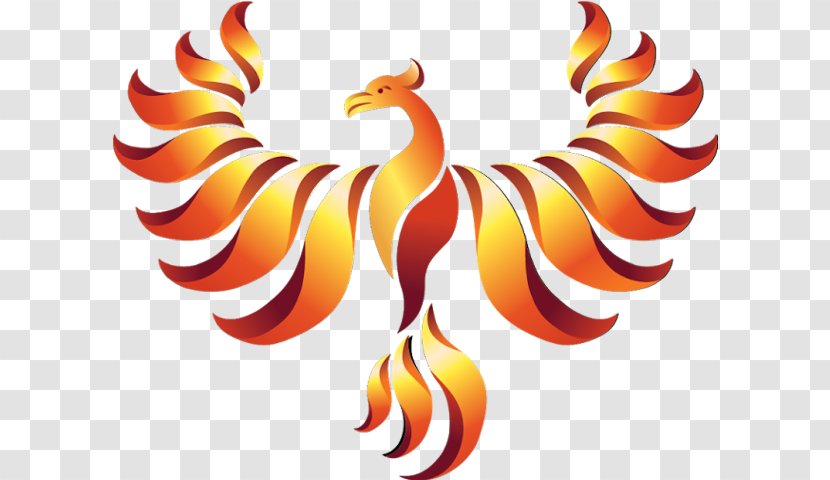 Phoenix Logo Rooster Simurgh - Beak Transparent PNG