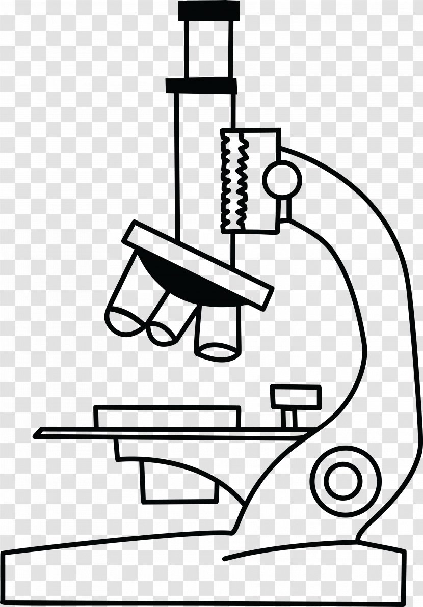 Microscope Drawing Black And White Clip Art - Monochrome Photography - Albert Einstein Hair Transparent PNG