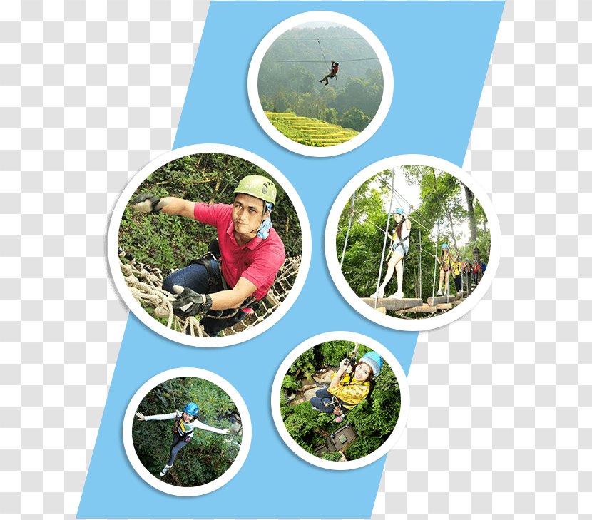 Chiang Mai Tourism Ecosystem Jungle Rainforest - CHiangmai Transparent PNG