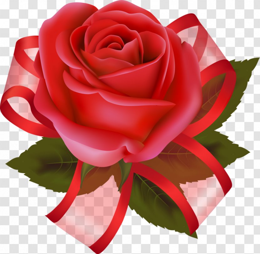 Valentine's Day Garden Roses Flower Clip Art - Rose Order Transparent PNG