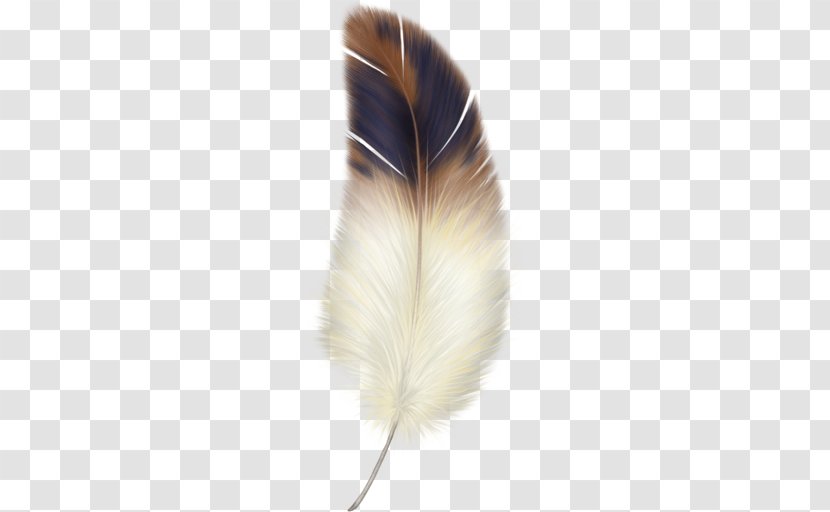 Paper Feather Transparent PNG