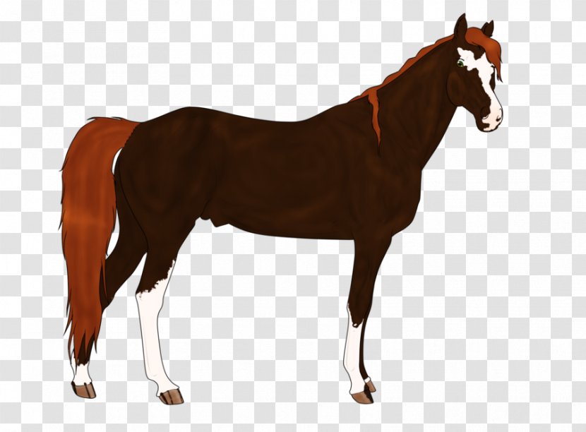 Mustang Stallion Foal Mare Pony - Sorrel Transparent PNG