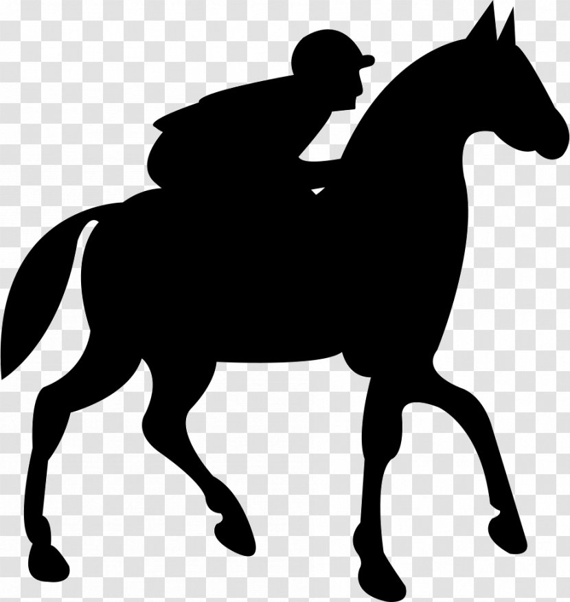 Horse - Trainer - Tack Transparent PNG