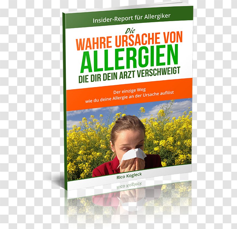 Allergy Respiratory Disease Essential Oil System Transparent PNG