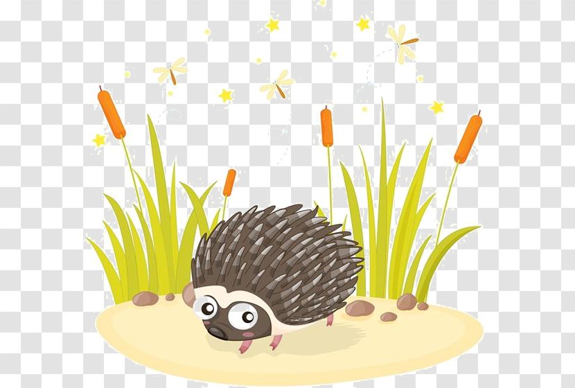 Hedgehog Drawing Illustration - Stock Photography - Cartoon Grass Material Transparent PNG