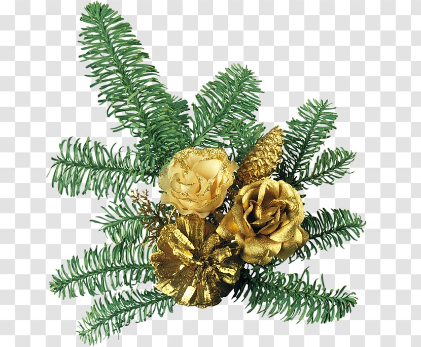 Fir Christmas Ornament Spruce Clip Art - Conifer Transparent PNG