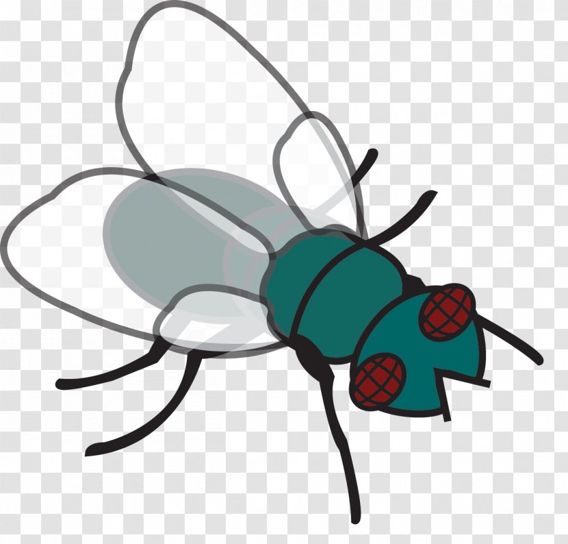 Housefly Fly-killing Device Download Clip Art - Arthropod - Fly Swatter Cliparts Transparent PNG