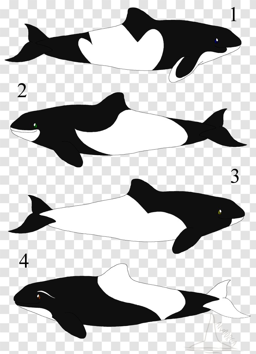 Tucuxi Porpoise Killer Whale Dolphin - Silhouette Transparent PNG