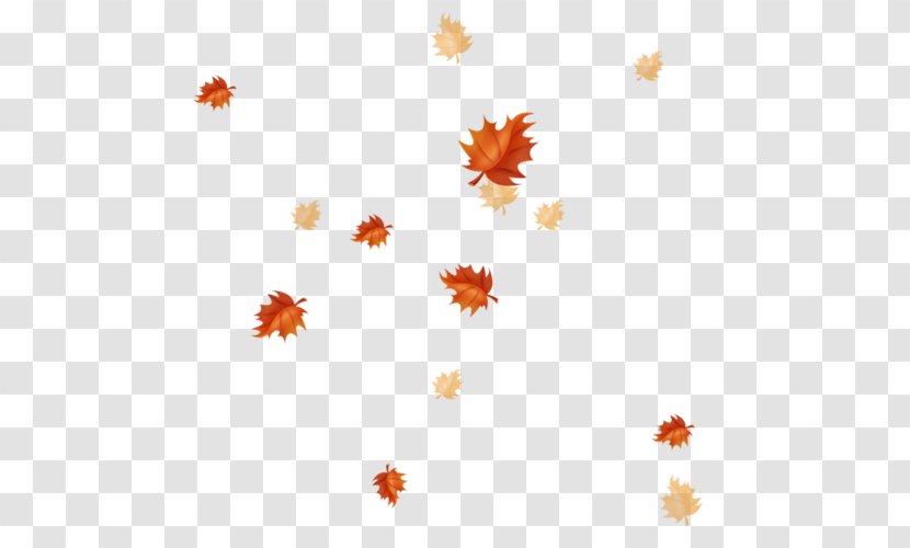 Autumn Leaves Maple Leaf Petal - Photography - Floating Element Transparent PNG