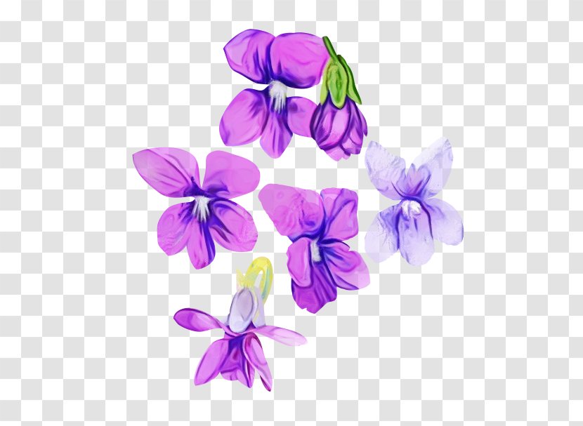 Violet Flower Purple Petal Plant - Wet Ink - Wildflower Viola Transparent PNG