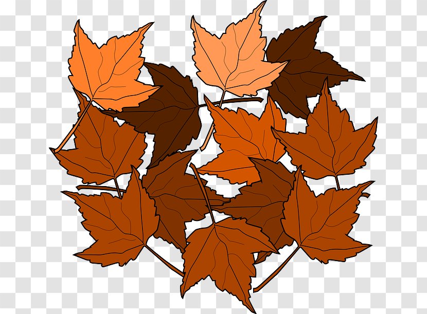 Autumn Leaf Color Maple Clip Art - Brown - Greenery Transparent PNG