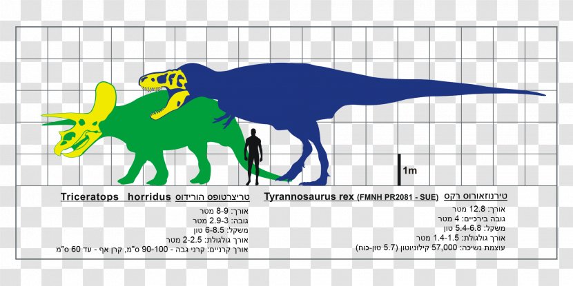 Tyrannosaurus Triceratops Gorgosaurus Spinosaurus Mapusaurus - Ceratopsia Transparent PNG