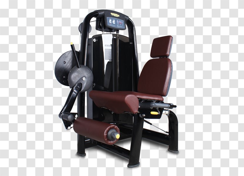 Weightlifting Machine 博菲特 Commerce Bodybuilding - Exercise Equipment - Gym Equipments Transparent PNG