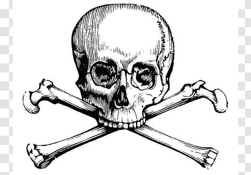 Skull And Bones Crossbones Human Symbolism Calavera - Jaw - Image Transparent PNG