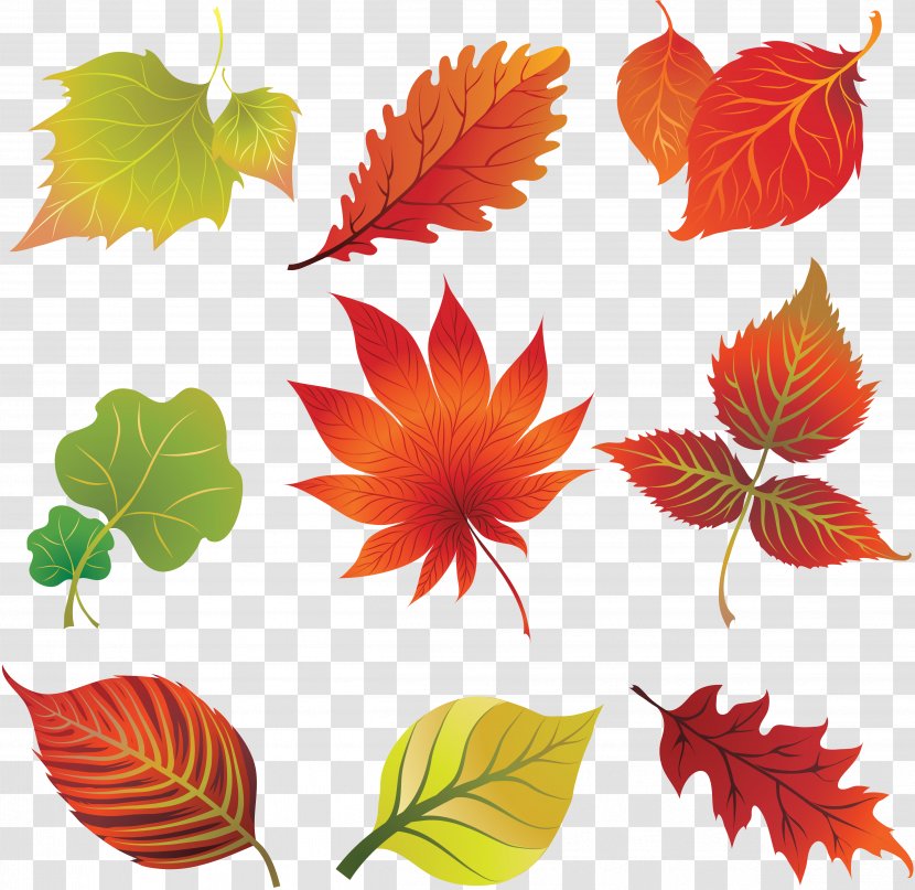 Autumn Leaf Color Art Clip - Leaves Transparent PNG