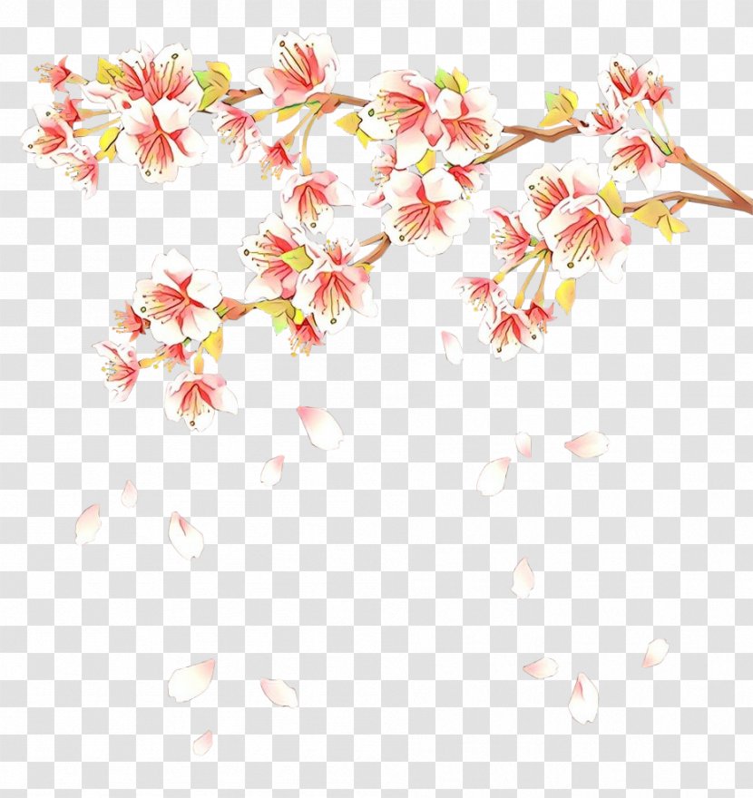 Cherry Blossom East Asian Japan Drawing Flower - Royaltyfree Transparent PNG