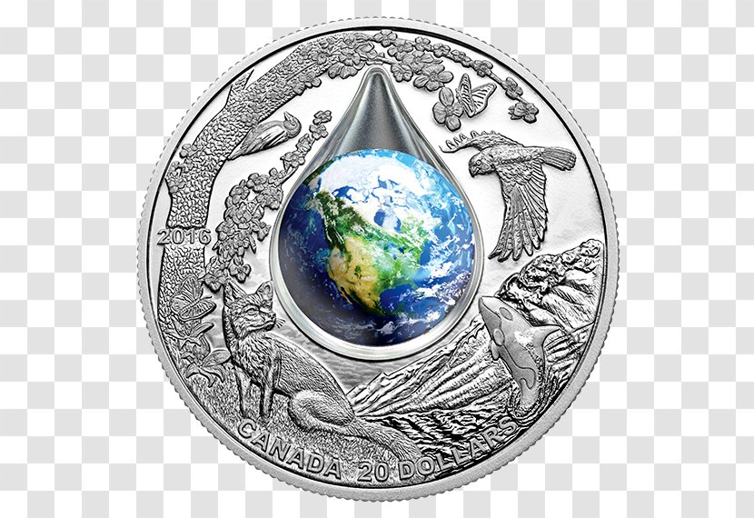 Coin Of The Year Award Earth Silver - Mother Transparent PNG