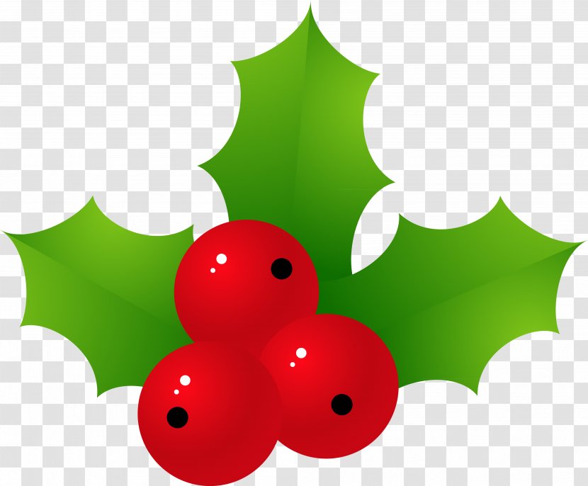 Holly Christmas Ornament Green Leaf - Fruit - HOLLY Transparent PNG
