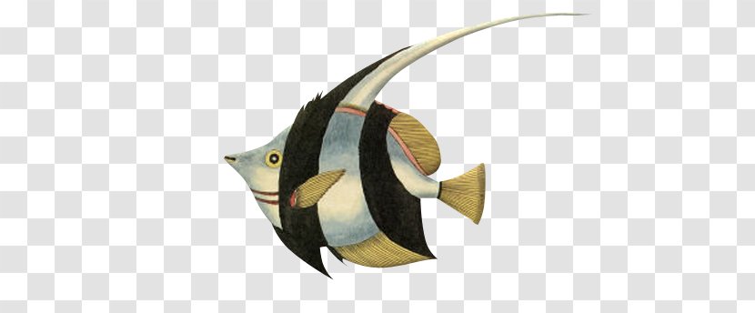 Angelfish Blog Clip Art - Goldfish - Fish Transparent PNG