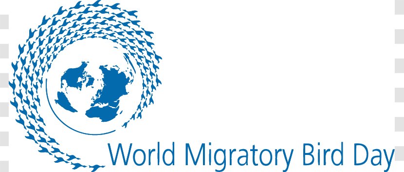 Bird Migration World Migratory Day Birdwatching Transparent PNG