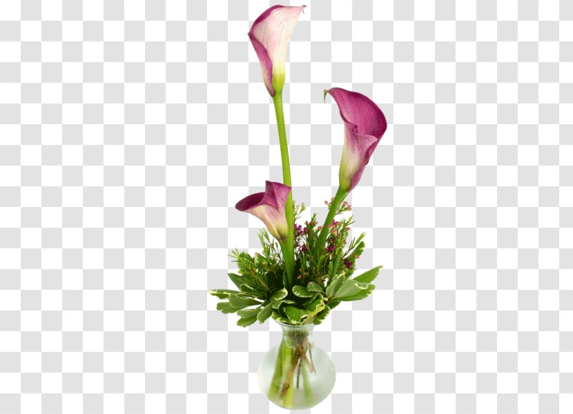 Arum-lily Floral Design Cut Flowers Lilium - Floristry - Calla Lily Transparent PNG
