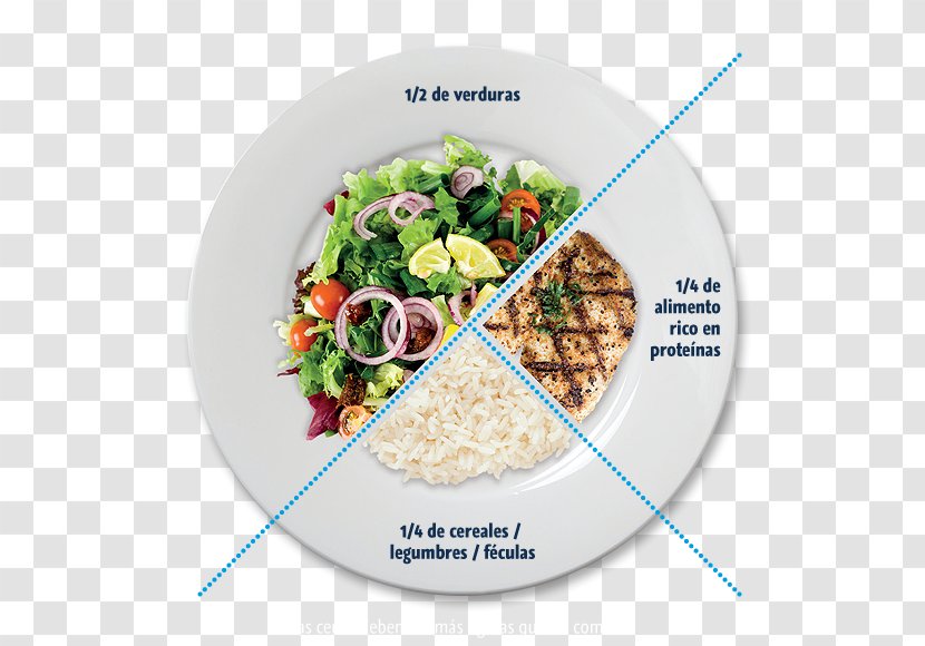 Breakfast Weight Loss Supper Dinner Dieting - Dishware - Menu Comida Transparent PNG