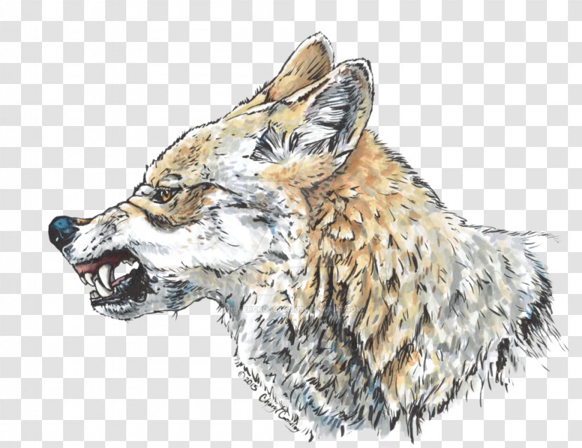 Red Fox Wolf Coyote Cross Snarl - Dog Like Mammal Transparent PNG