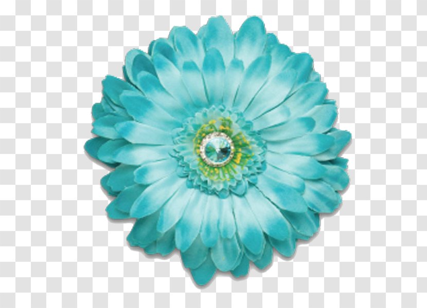 Flower Blue Aqua Color Teal - White - Gerbera Transparent PNG