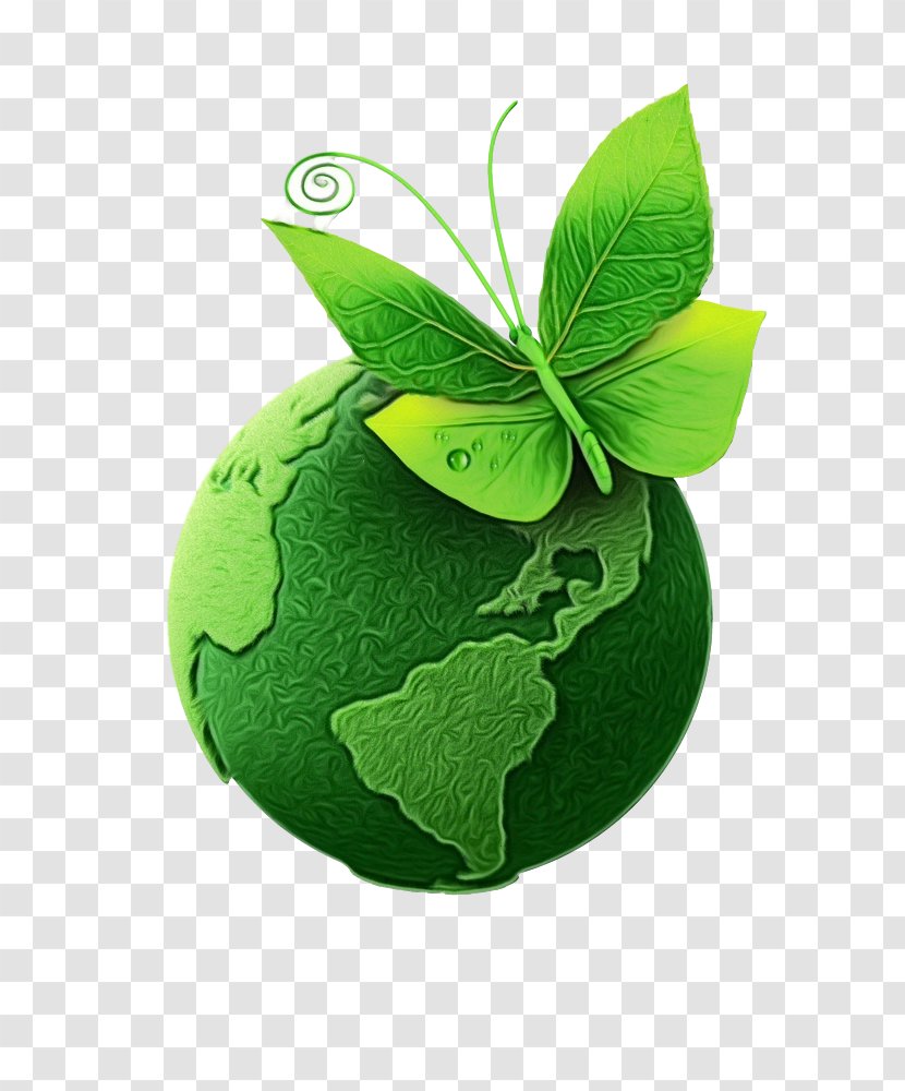 Green Leaf Plant Logo Symbol - Herb Transparent PNG