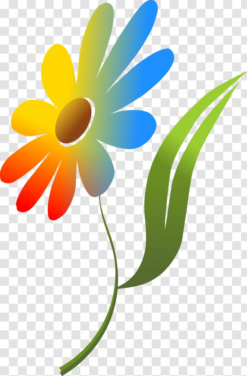 Clip Art Women Common Daisy - Family Transparent PNG