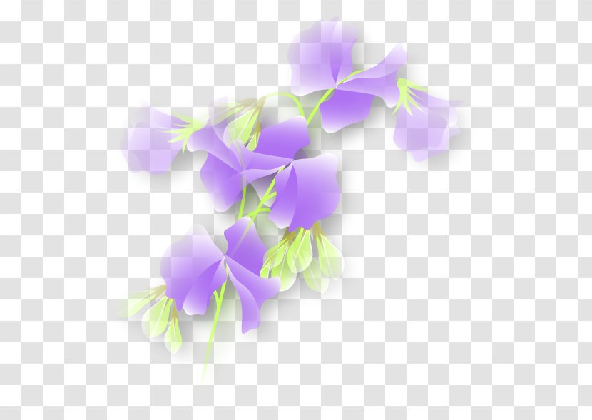 Sweet Pea Purple Plant Stem Violet Transparent PNG