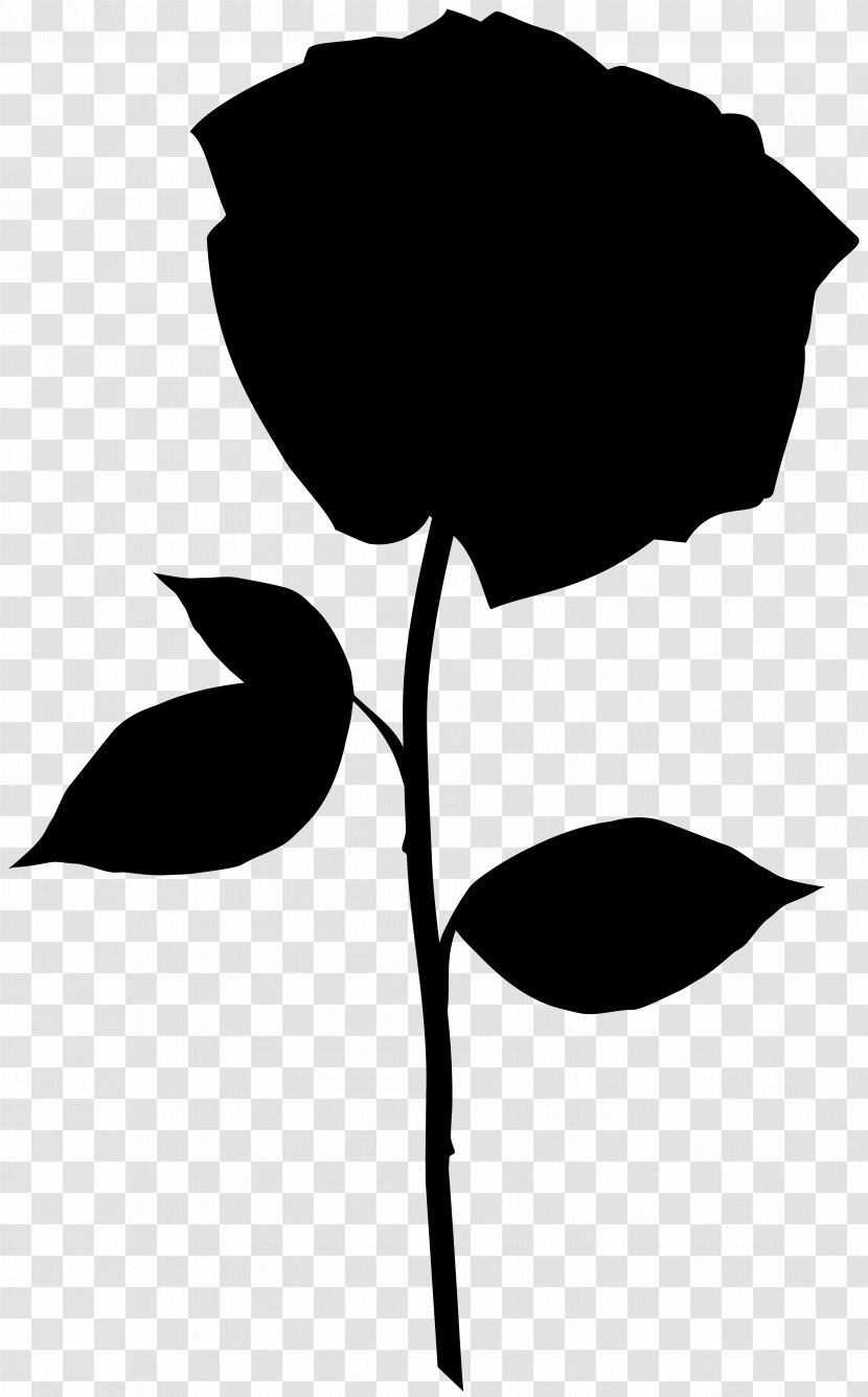 Flower Plant Stem Clip Art Leaf Love - Botany - Rose Transparent PNG