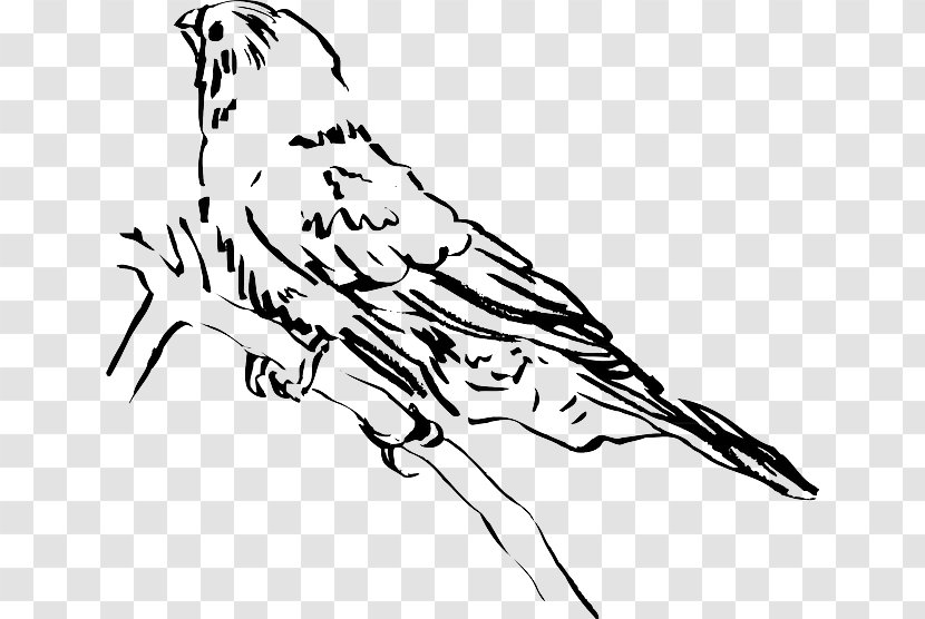 Beak Bird Lark Clip Art Transparent PNG