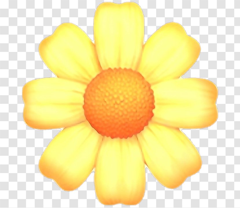 Flower Emoji - Petal - Gerbera Daisy Family Transparent PNG