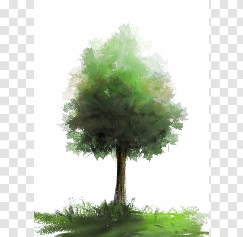 Brush Tree Watercolor Painting - Tutorial Transparent PNG
